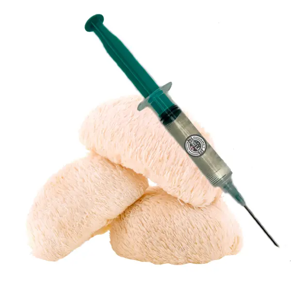 Korálovec ježatý (Hericium Erinaceus)