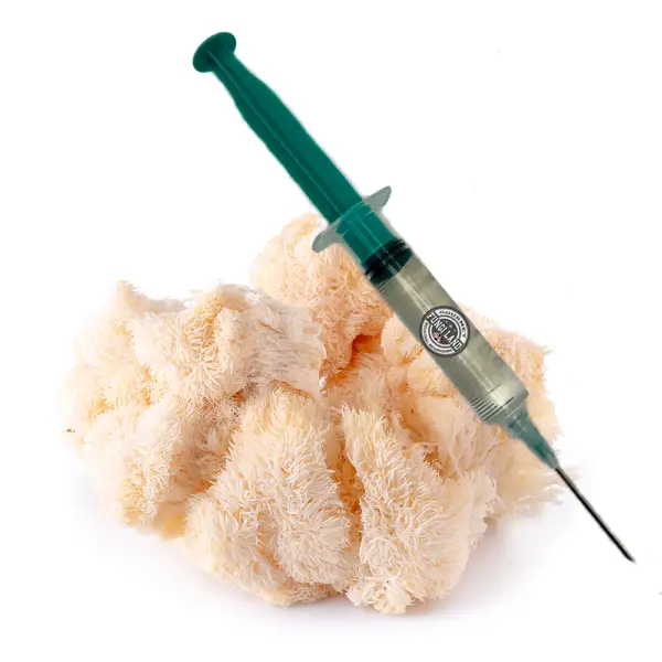 Korálovec bukový (Hericium coralloides)