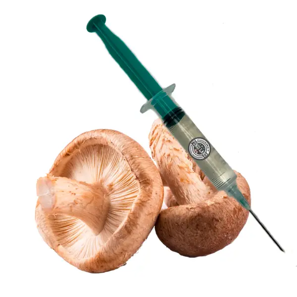 Shiitake (Lentinula Edodes, Strain: 3790)